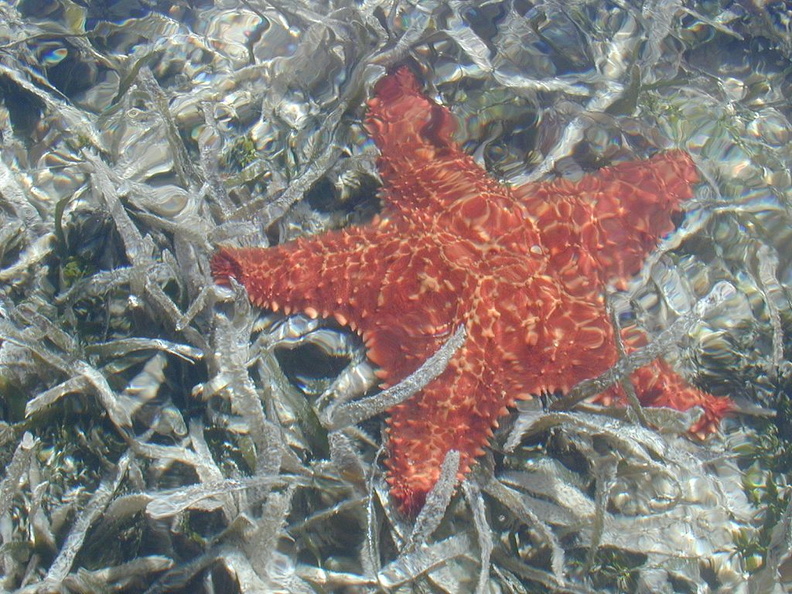 1024Marine560